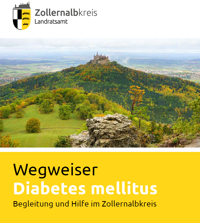 Wegweiser Diabetes mellitus